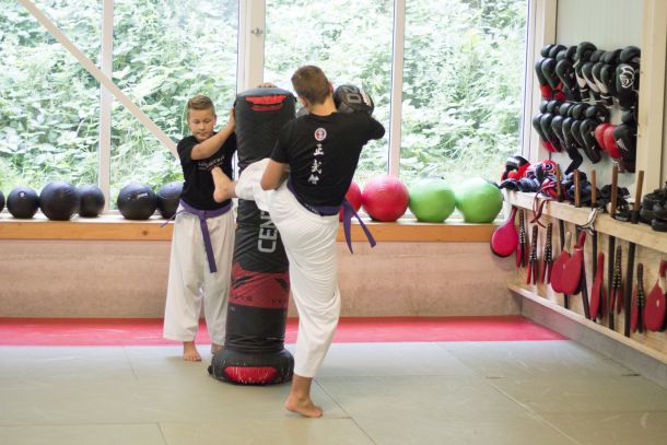 kicking hapkido bag